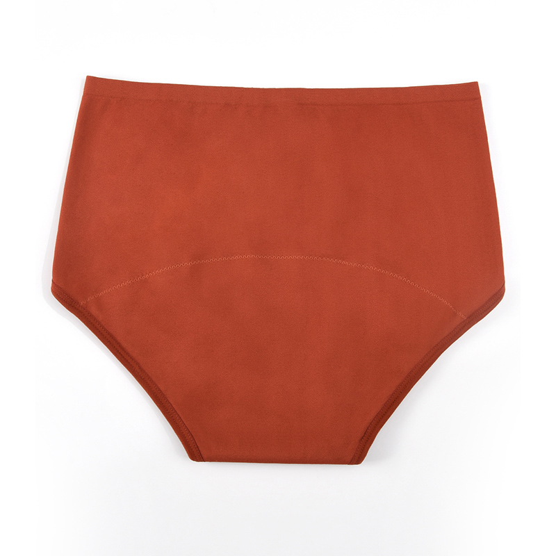 Women’s Seamless Period Pantie - Period Panty Absorbent incelemesi ve fiyatı