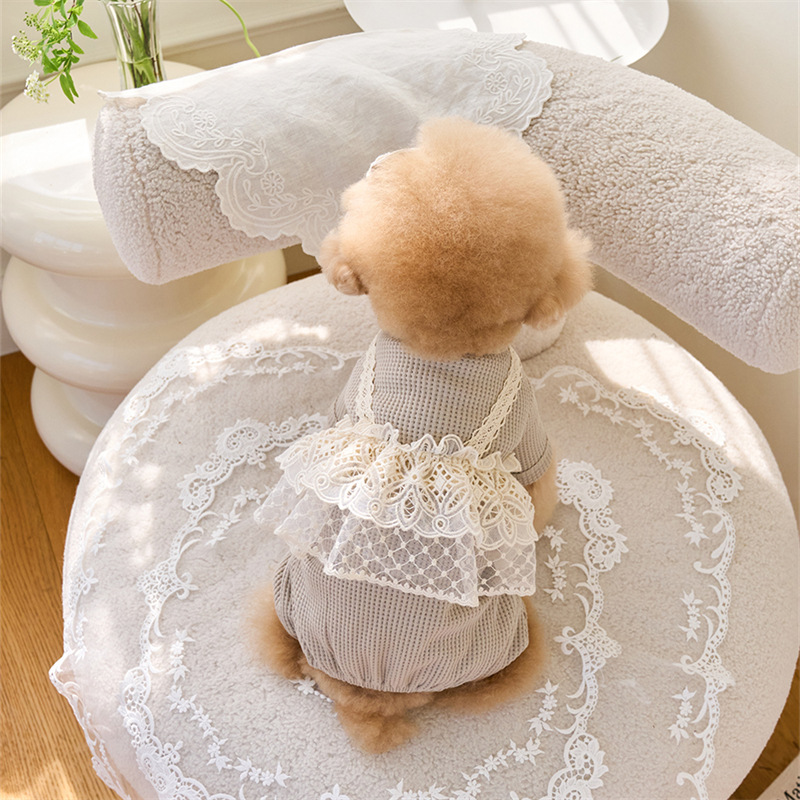 Pet Spring Jumpsuit Cute Lace  - Lace Teddy Lingerie incelemesi ve fiyatı