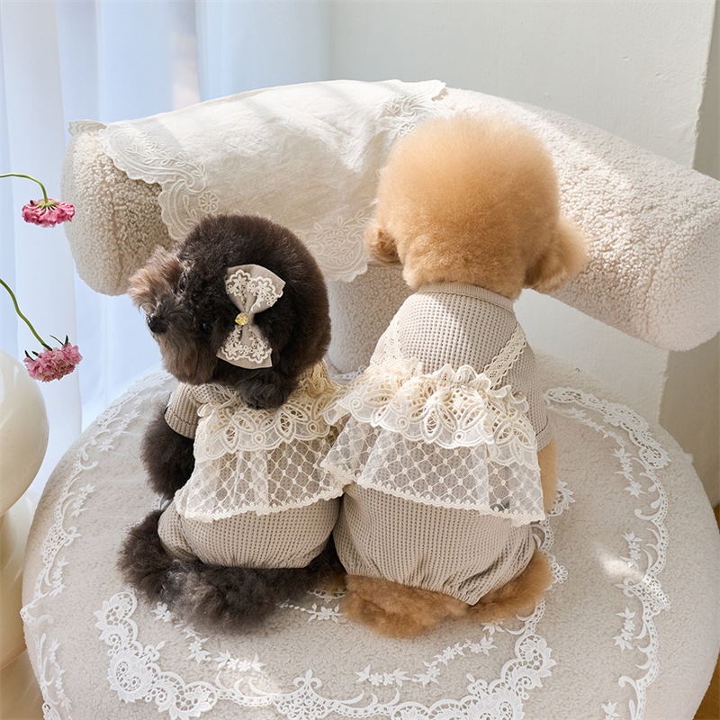 Pet Spring Jumpsuit Cute Lace  - Lace Teddy Lingerie incelemesi ve fiyatı